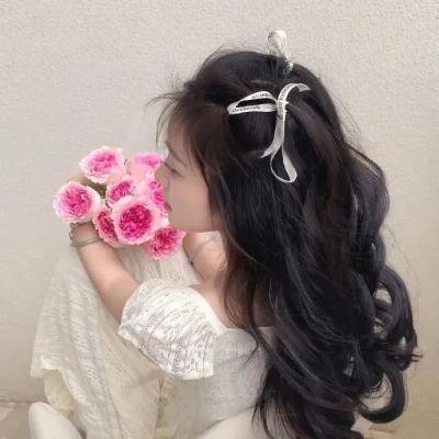 模范家族